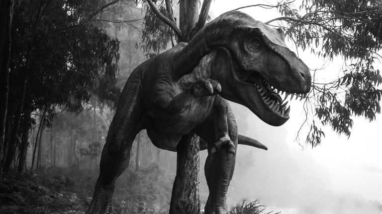 Black and white image of a realistic Tyrannosaurus Rex dinosaur in a foggy prehistoric forest.